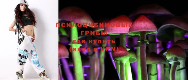 не бодяженный Алзамай