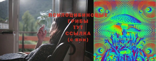не бодяженный Алексин