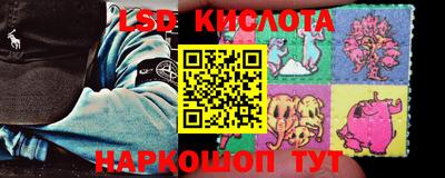 прущие грибы Пугачёв