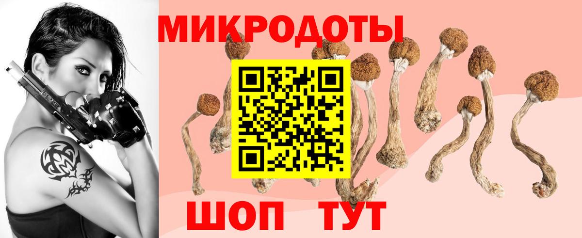 Галлюциногенные грибы Psilocybe  Вход с VPN  Ревда 